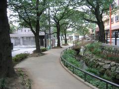 北沢川緑道の写真