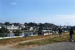 国分寺崖線を眺められる多摩川堤