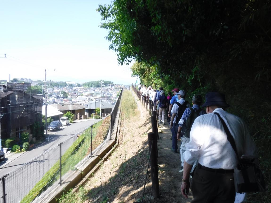 arukoukai6