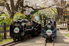 世田谷公園ミニSL