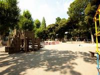 若林公園