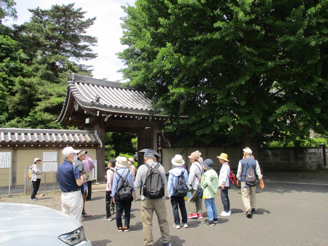 寺町散策（妙寿寺）
