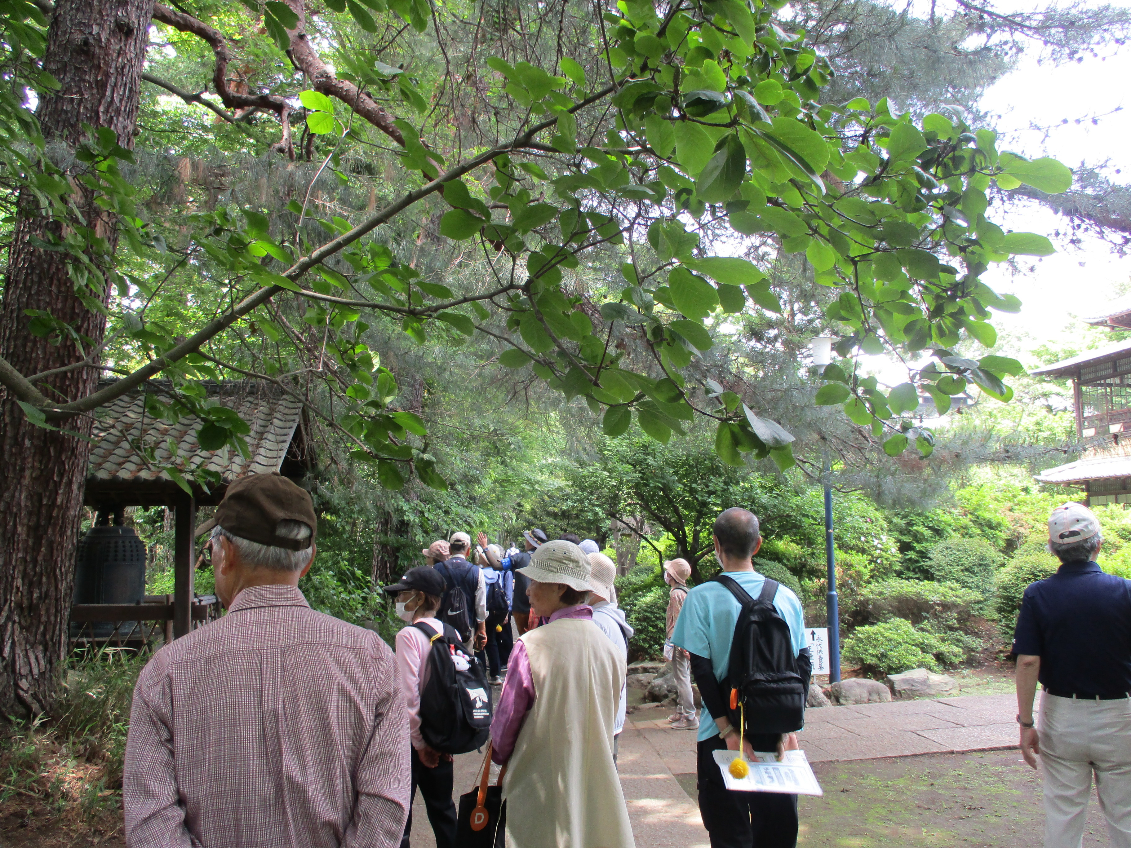 烏山寺町散策