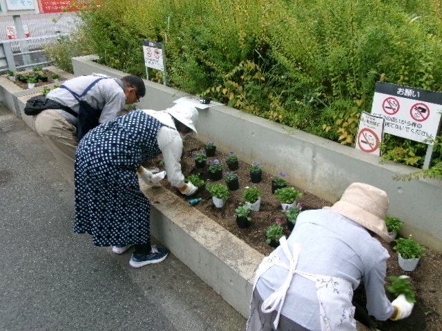 駅前植え替え中