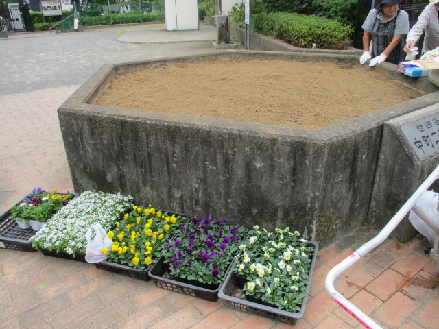 中町2丁目公園植え替え前