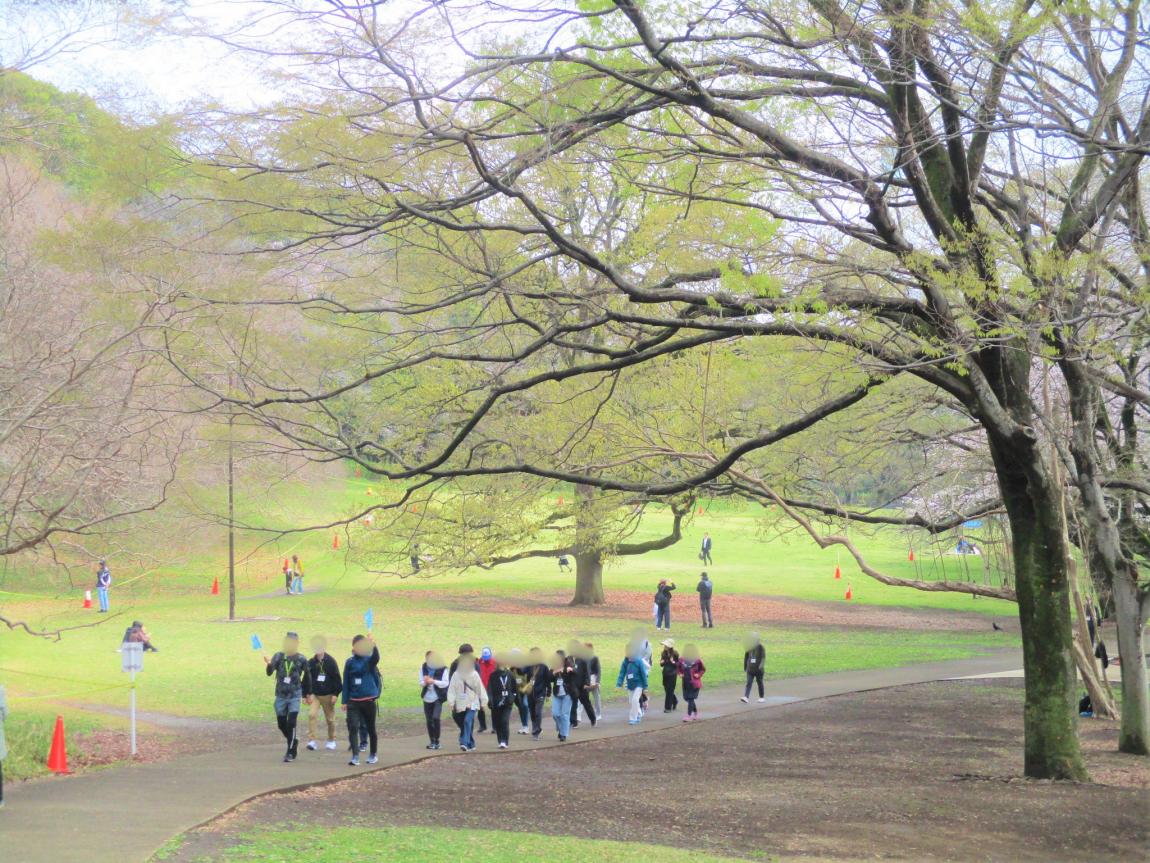 砧公園の中を歩いている一行