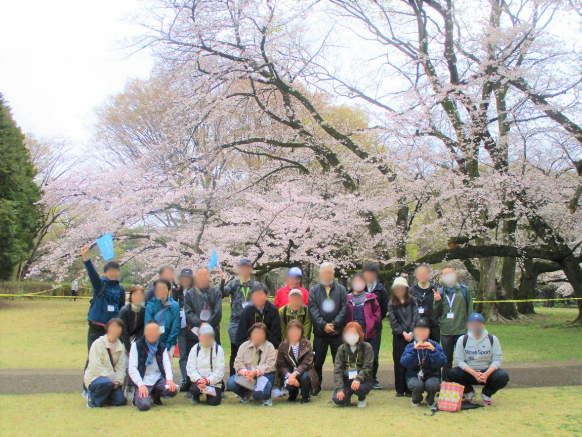 集合写真(砧公園の桜の前)