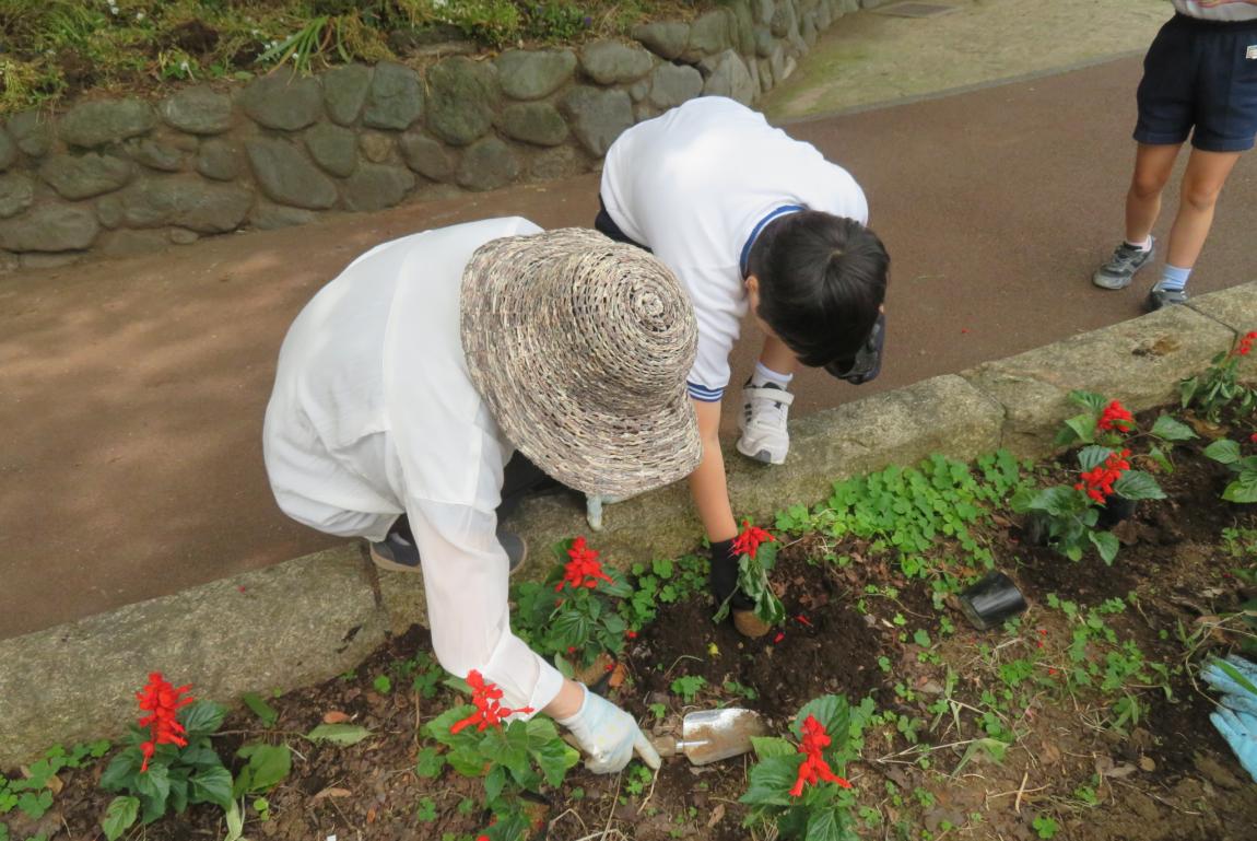 地域の方と一緒に植えている様子