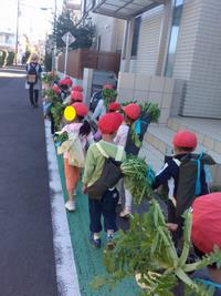 大根を背負って歩く子どもたち