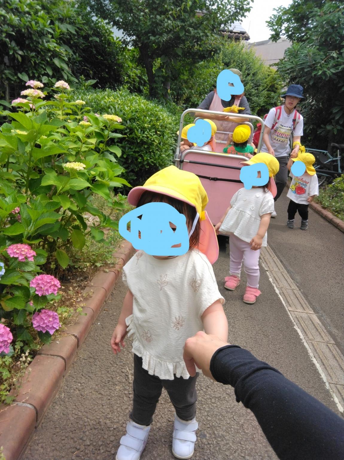 散歩2
