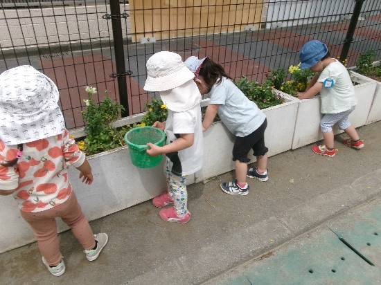 虫探し