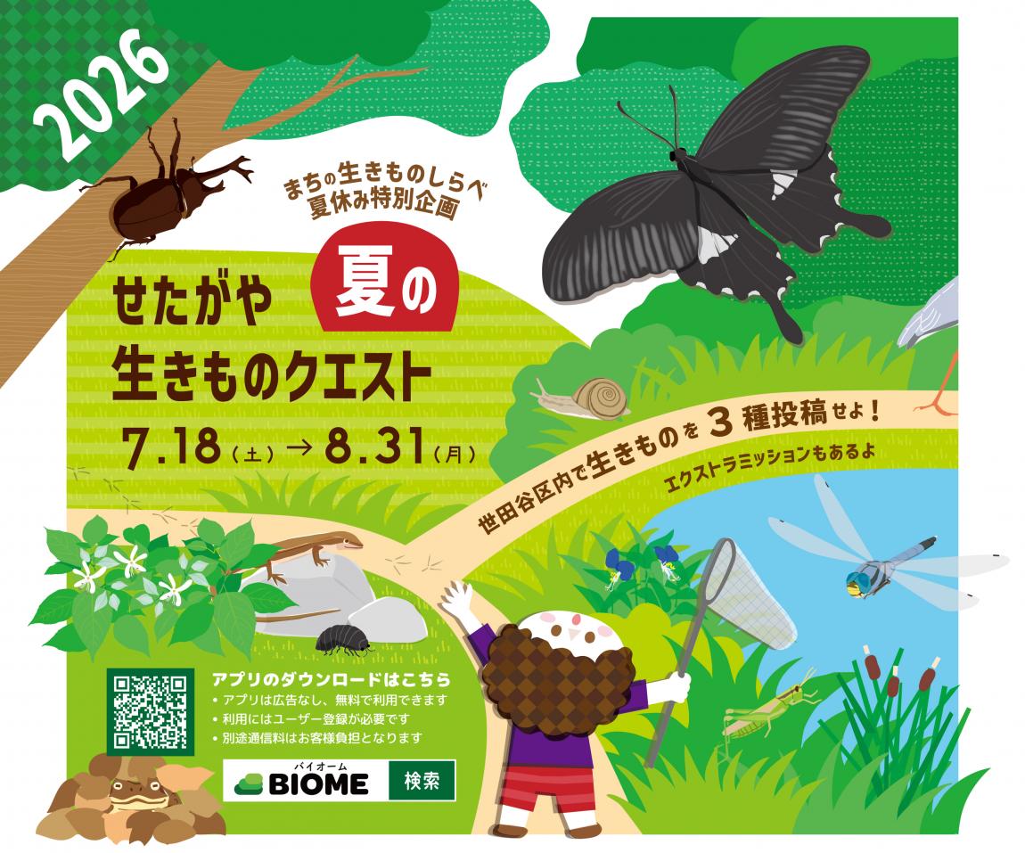 夏の生きものクエスト
