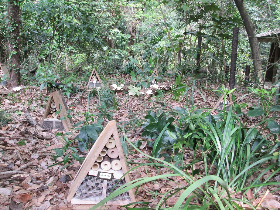 Insecthouse2
