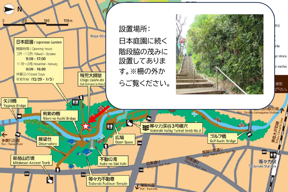 todorokiannaizu