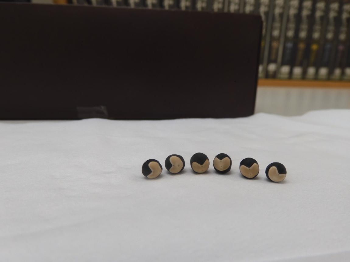 フウセンカズラのたね