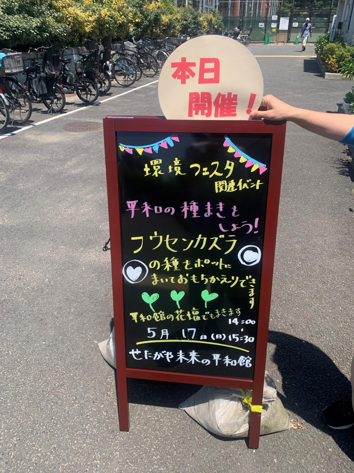 種まきしましょう