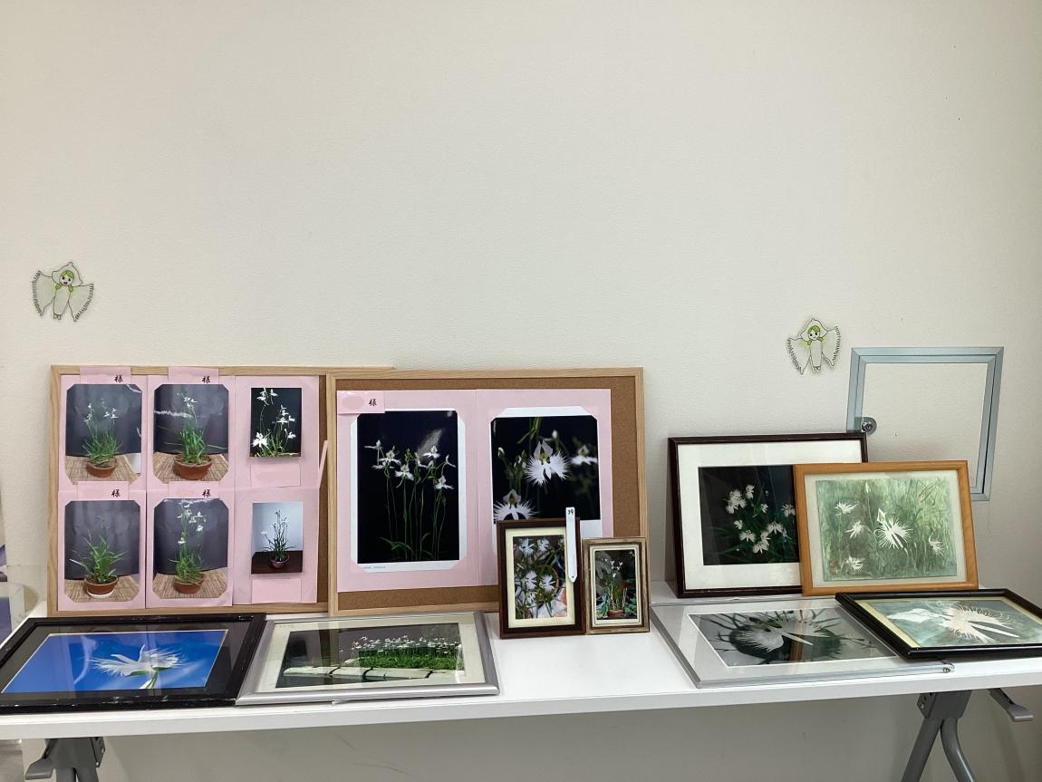 写真出展