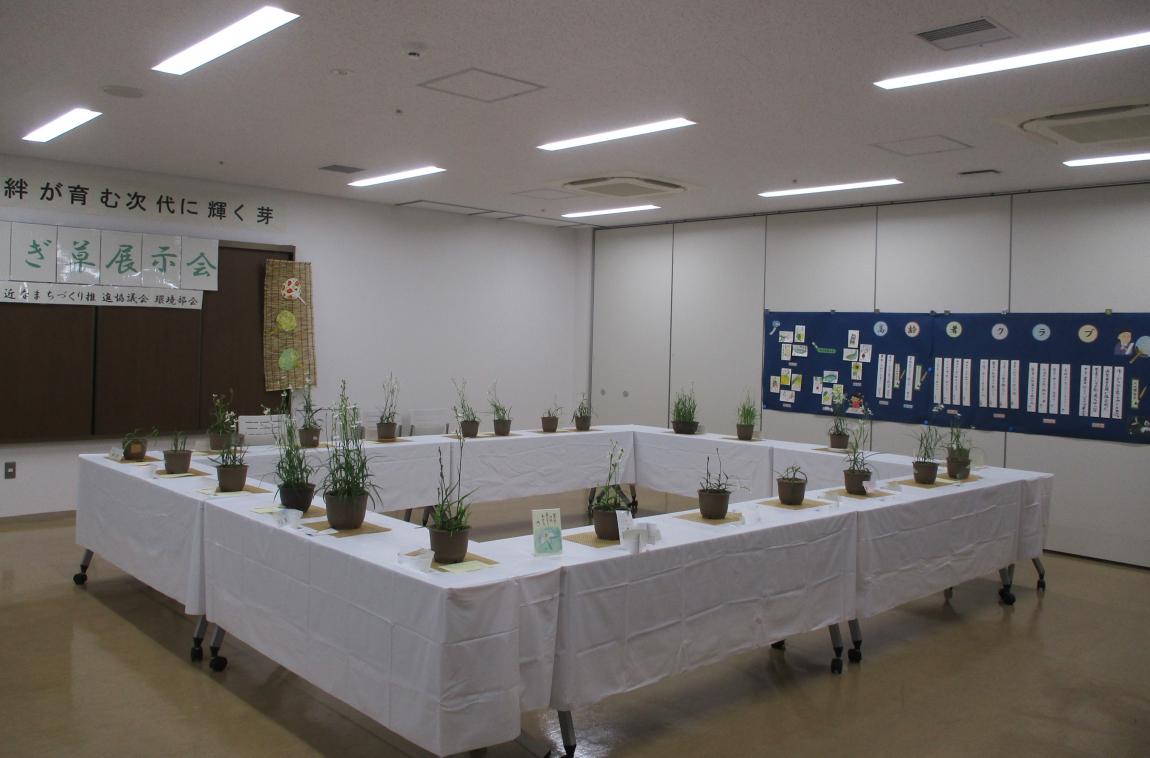 さぎ草展示会の様子