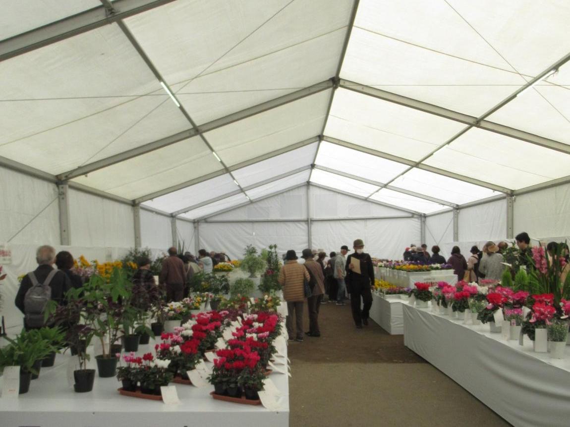 世田谷の花展覧会の様子