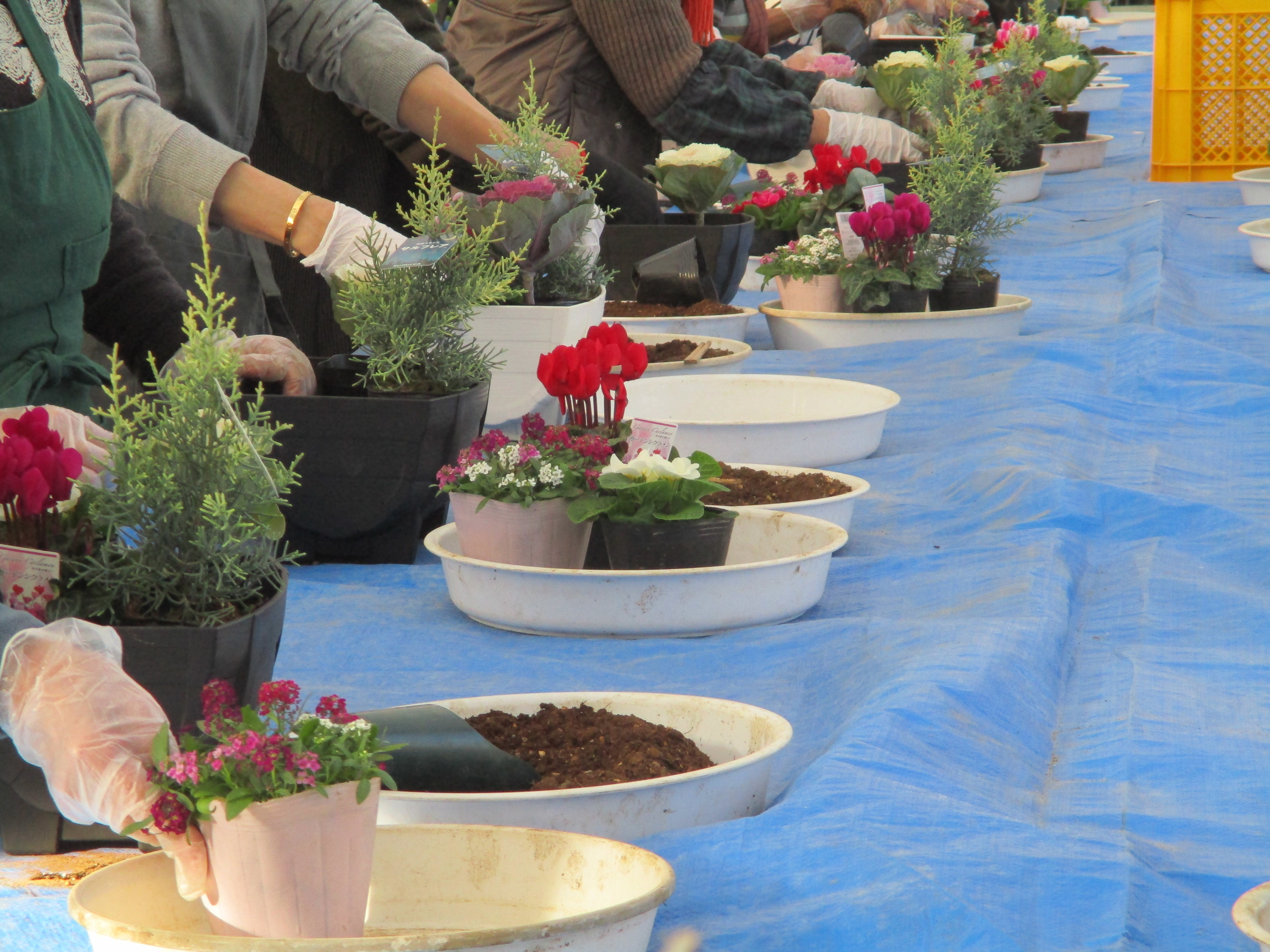 2023w