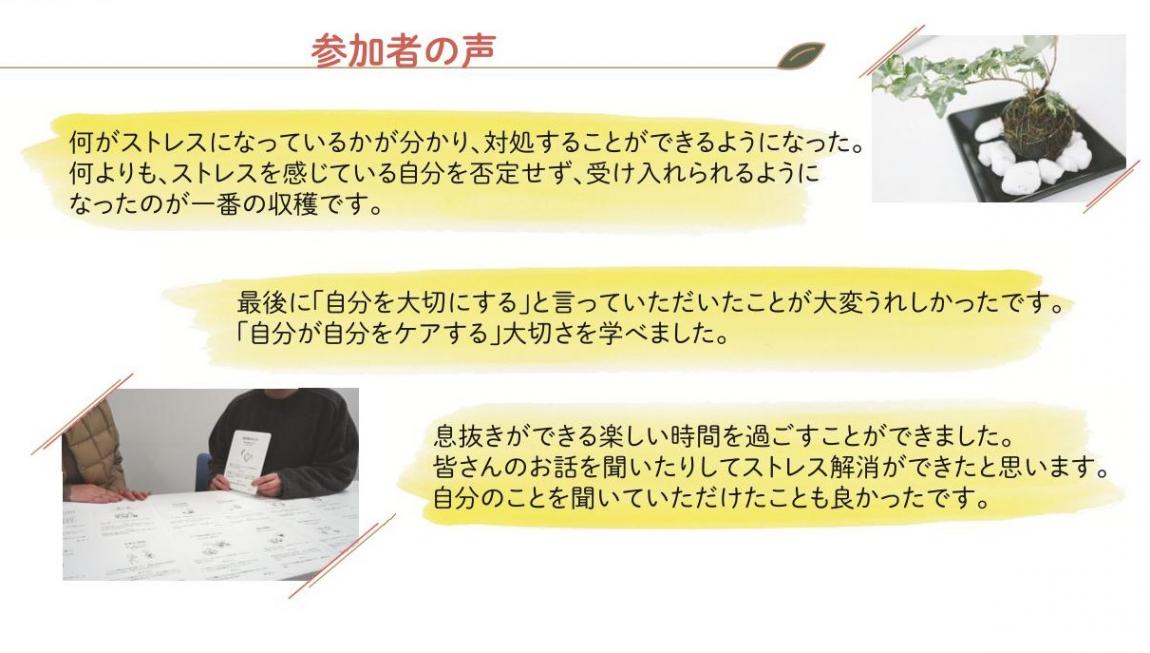 参加者の声
