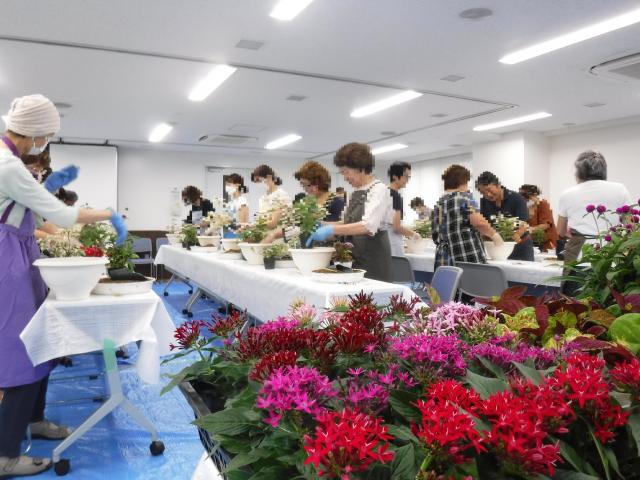 昨年の6月の講習会の様子