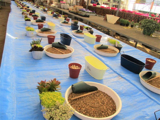 多肉植物の寄せ植え講習会の様子
