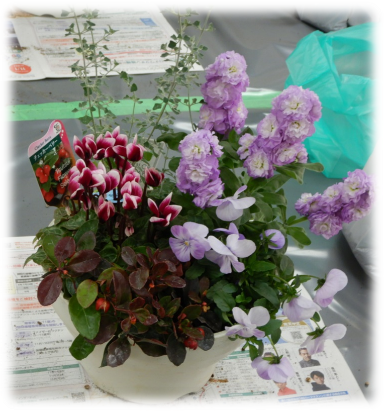 寄せ植え画像1
