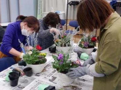 R7寄せ植えの様子