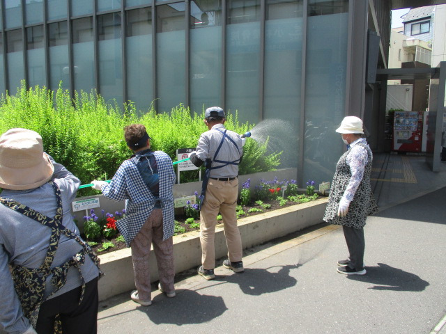 駅前水やり中