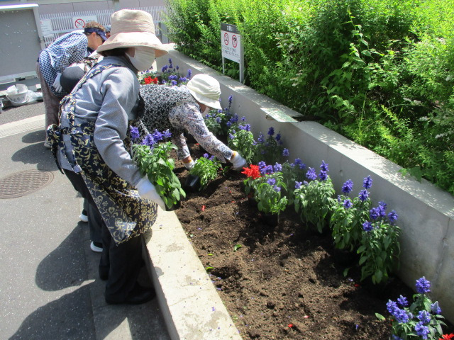 駅前植替え中2