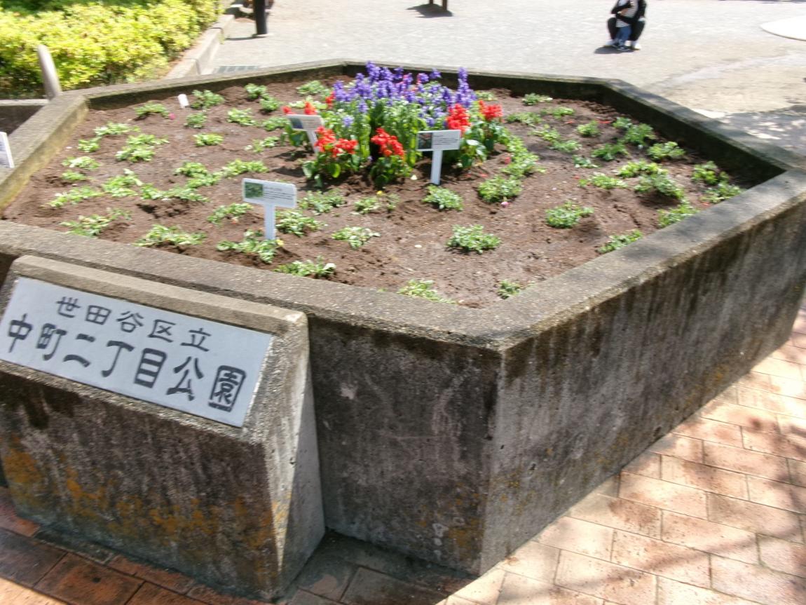 公園完成
