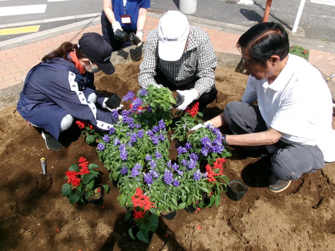 公園植え替え