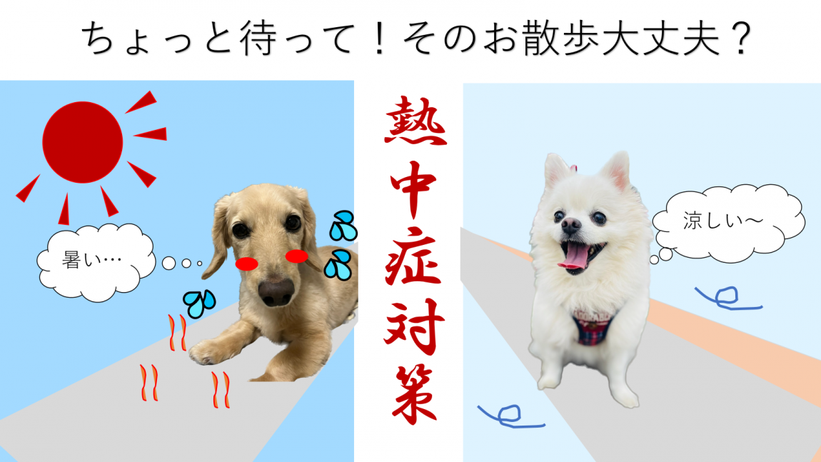 散歩