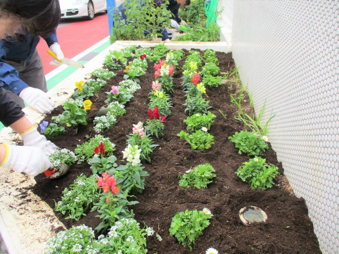 二子玉川小学校の花壇に花を植えている様子