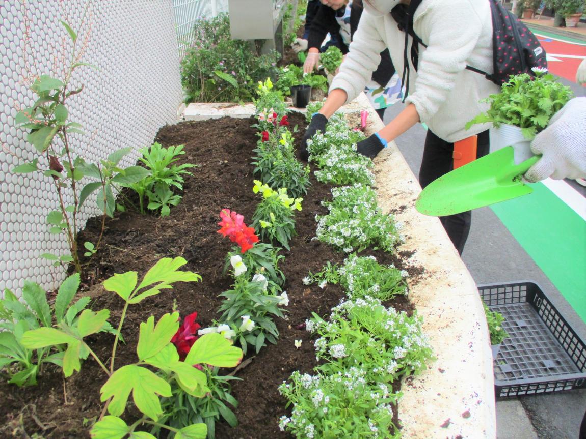 二子玉川小学校の花壇で花を植えている様子