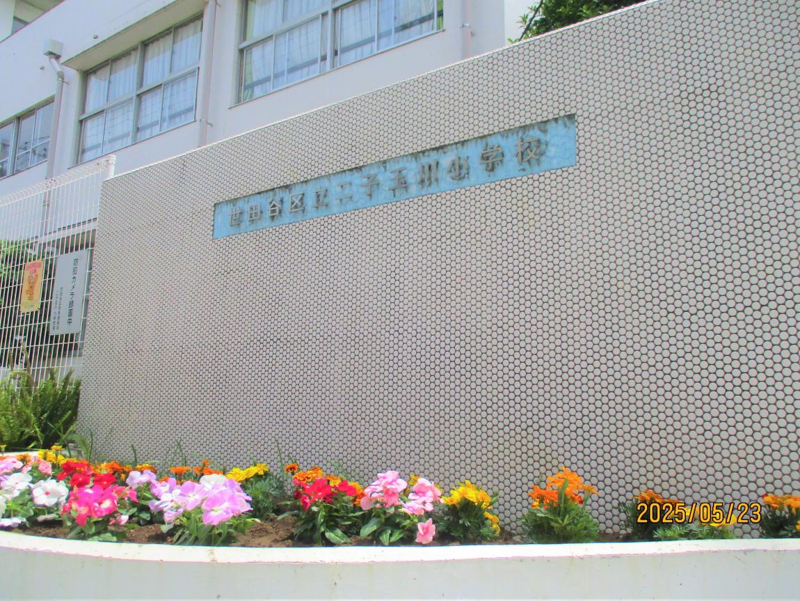 「二子玉川小学校」と書かれた校門の目の前にある花壇が完成し、お花で埋められている。