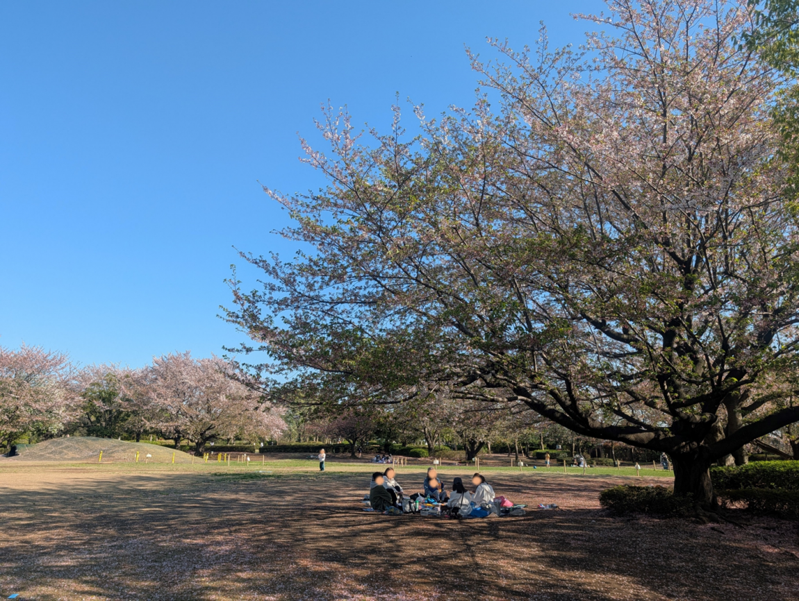きたみふれあい広場0408