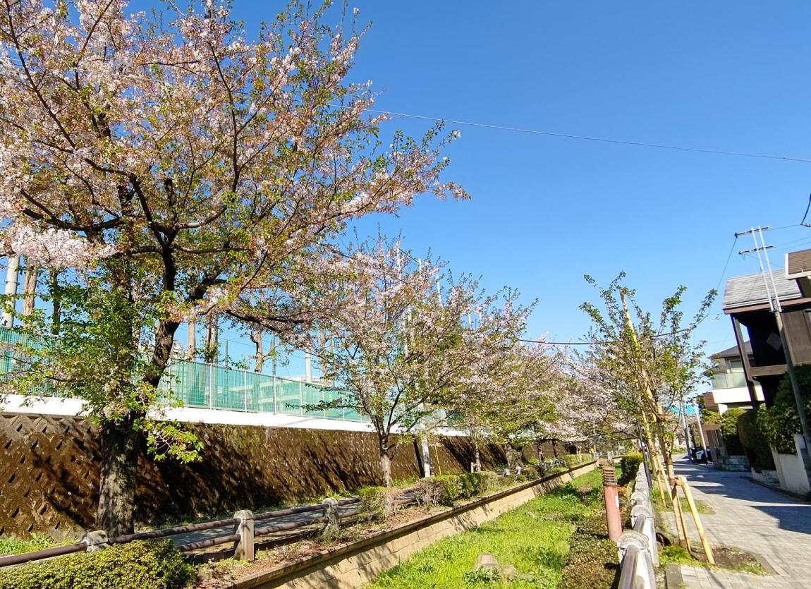 吞川親水公園0408