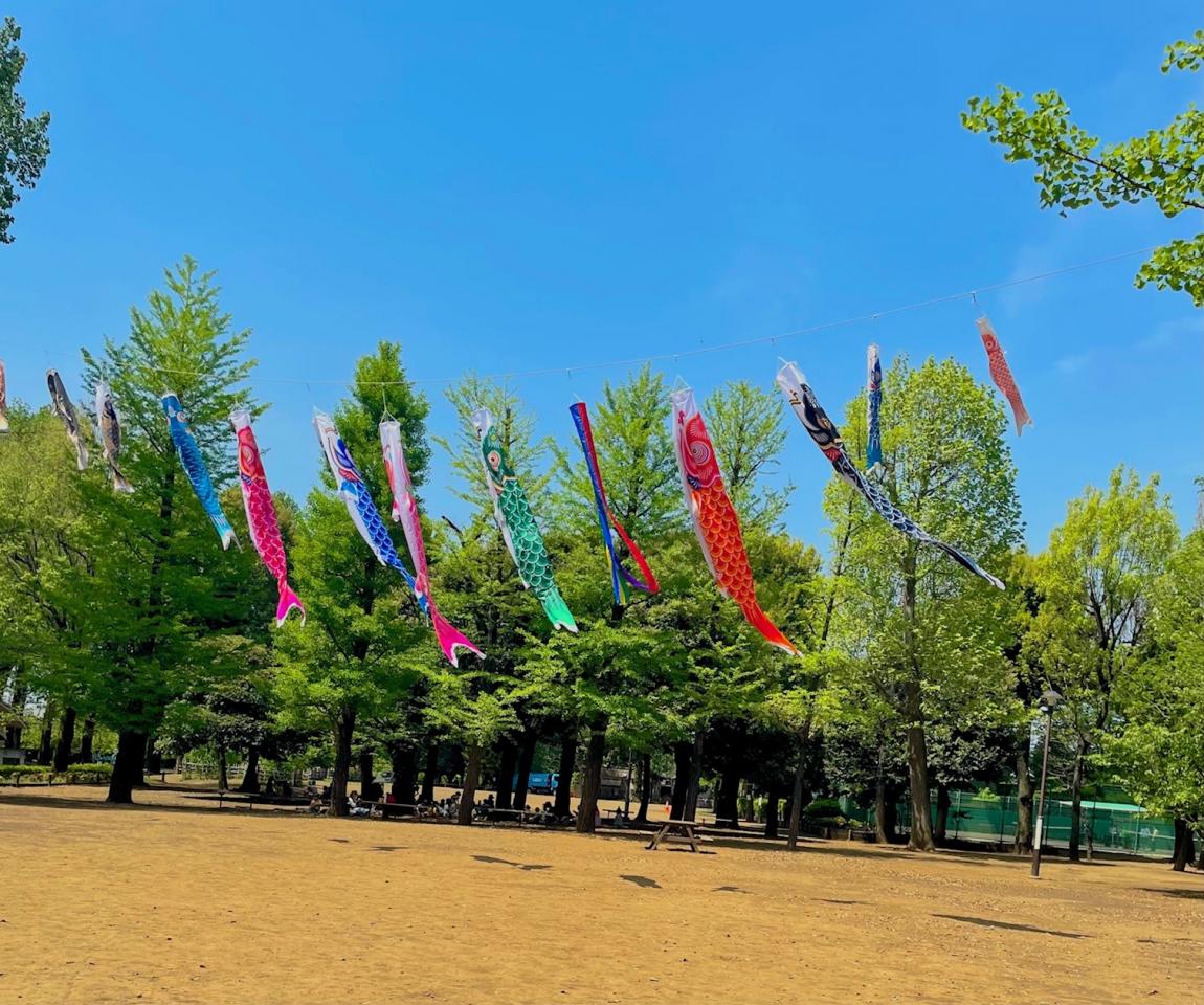 羽根木公園　鯉のぼり