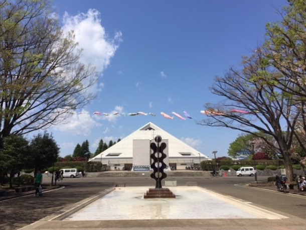 大蔵運動公園の鯉のぼり