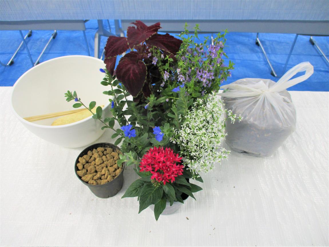 物品一覧、白の8号鉢の中に小さいスコップと割りばし、苗木カップの中に赤玉土、花苗5種類、ビニール袋の中に培養土
