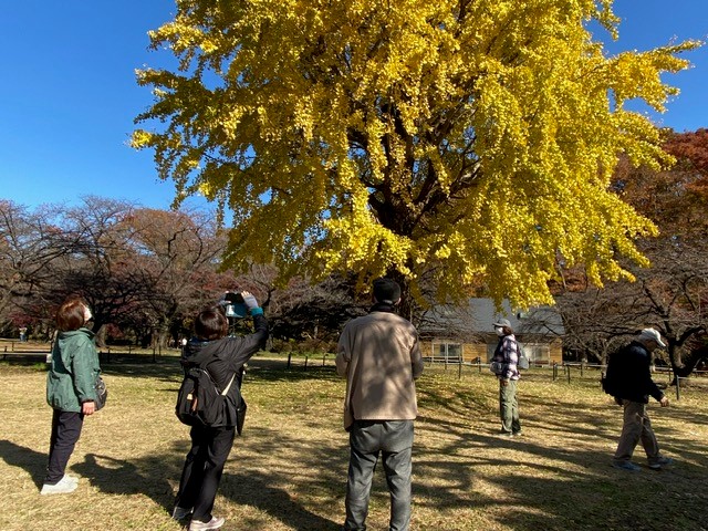 代々木公園を訪れる様子