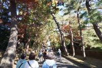 豪徳寺を訪れる様子