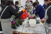 寄せ植え作りの様子