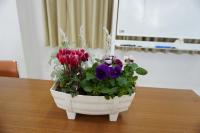 素敵な寄せ植えが完成しました