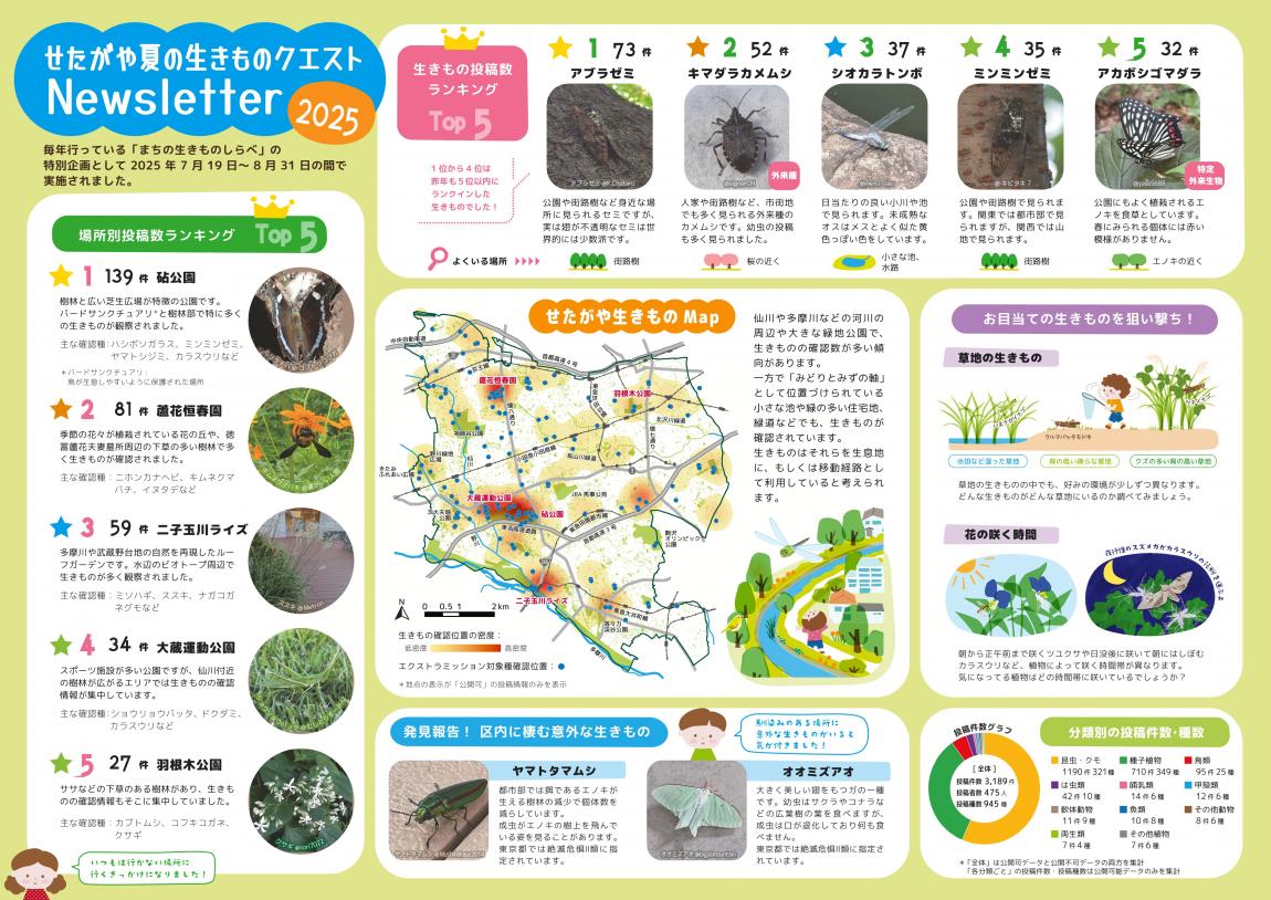 ニュースレター2026表