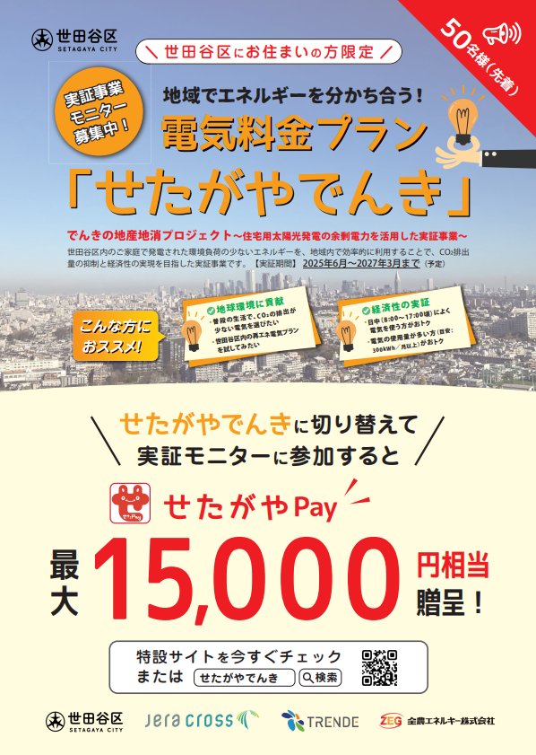 せたがやでんきチラシ