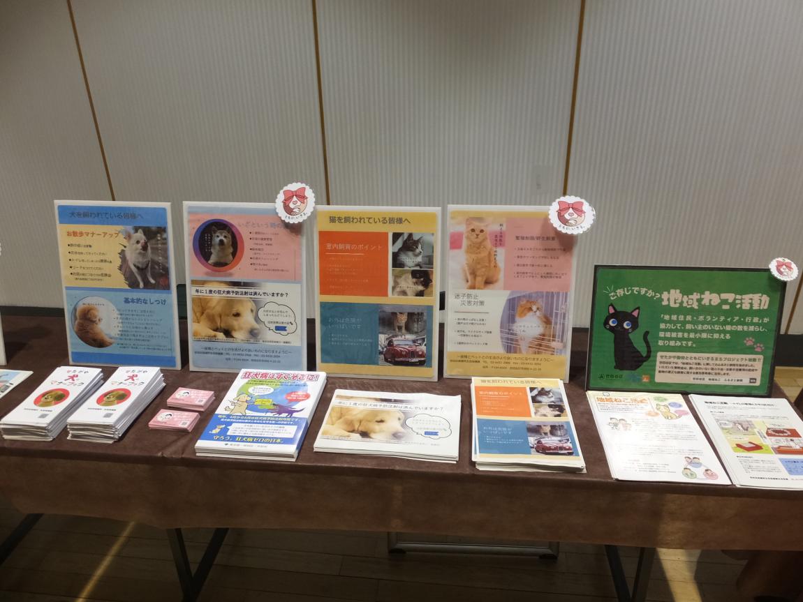 展示コーナー