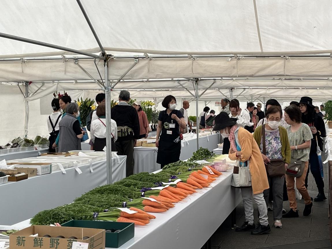 会場の様子⑴